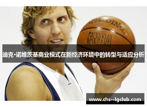 迪克·诺维茨基商业模式在新经济环境中的转型与适应分析