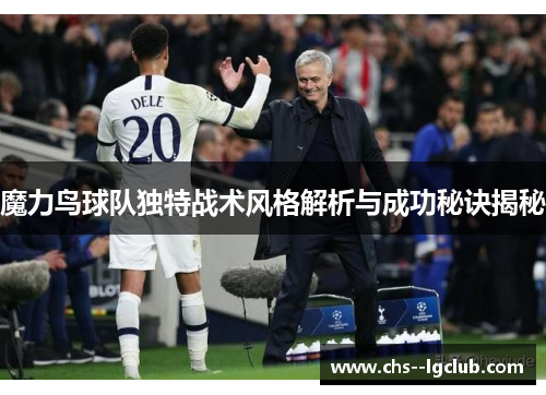 魔力鸟球队独特战术风格解析与成功秘诀揭秘
